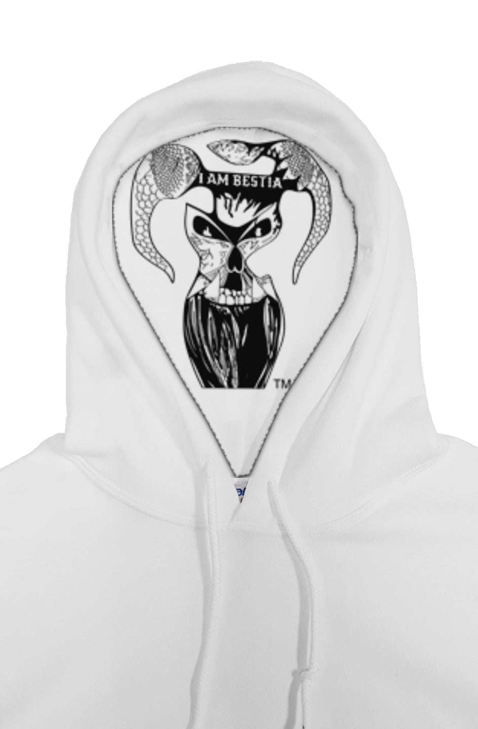 Black and White Logo with Logo Liner inside Hoodie