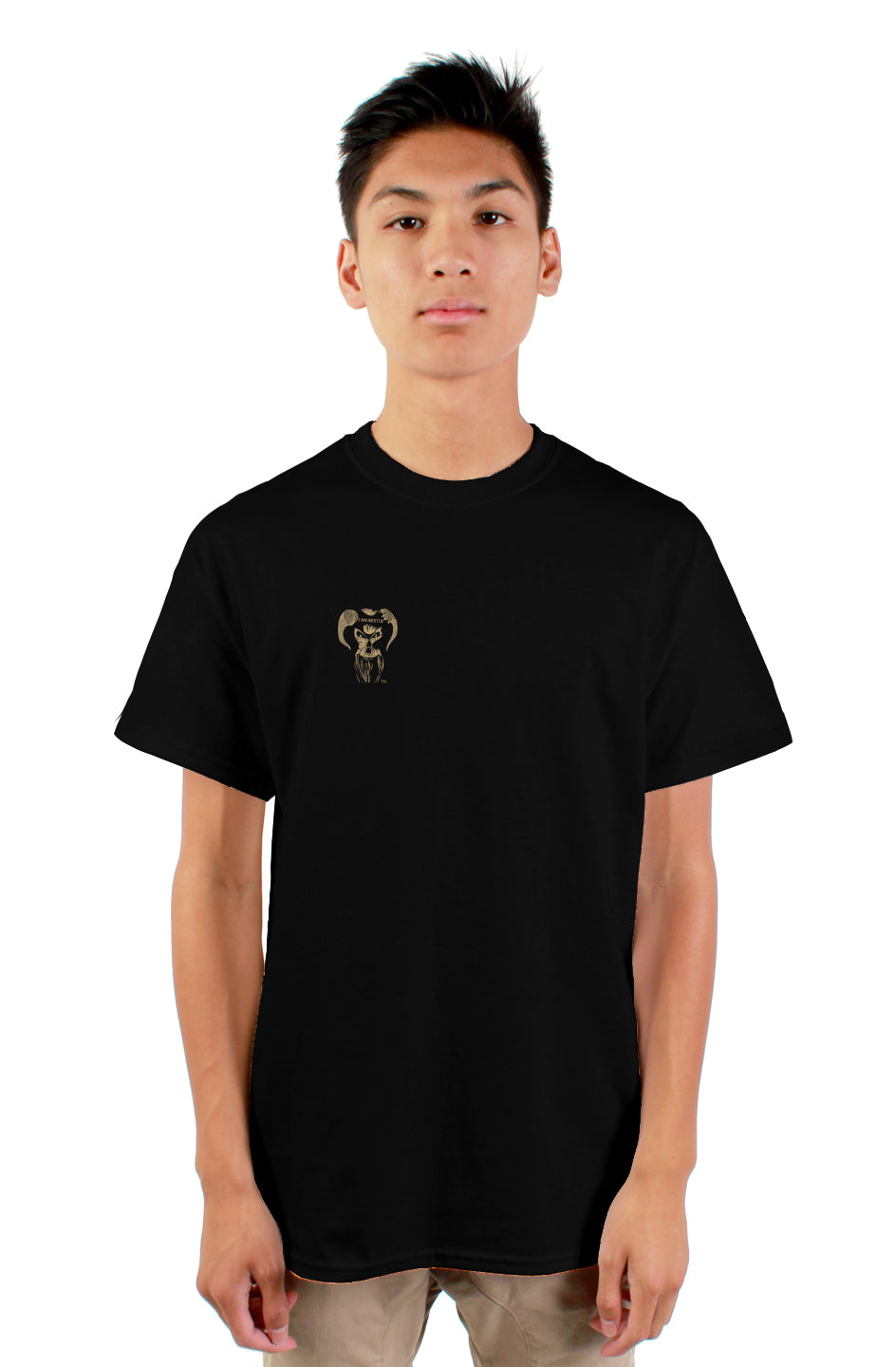 gildan mens tshirt